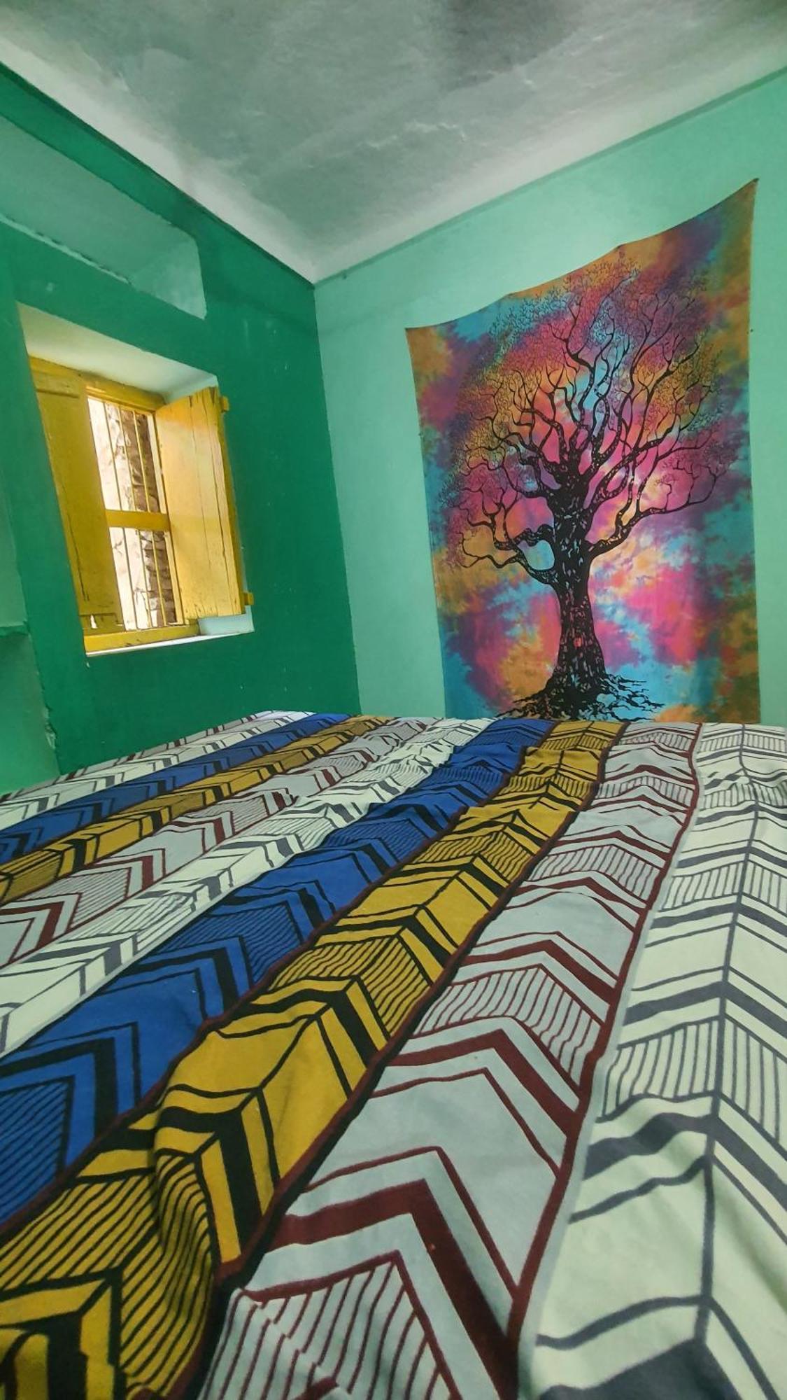 Anand Hostel Pushkar Luaran gambar